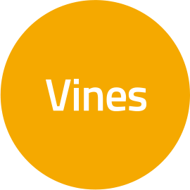 vines